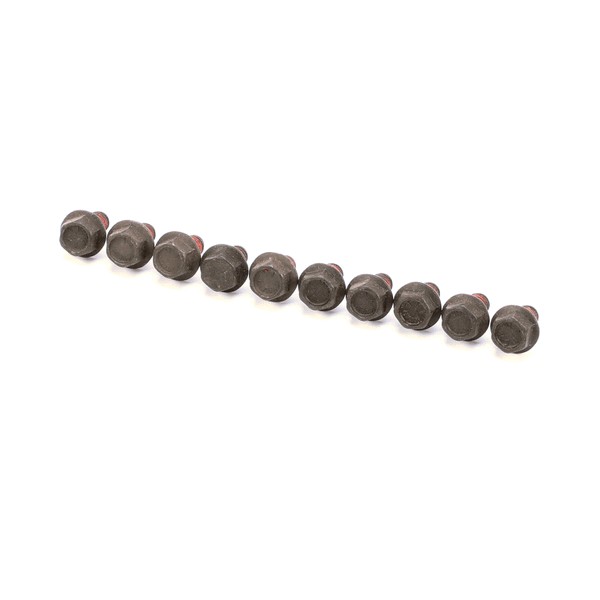 (image for) Roundup - AJ Antunes 325P176 SCREW, 1/4"-28 X 5/16" 10 PACK